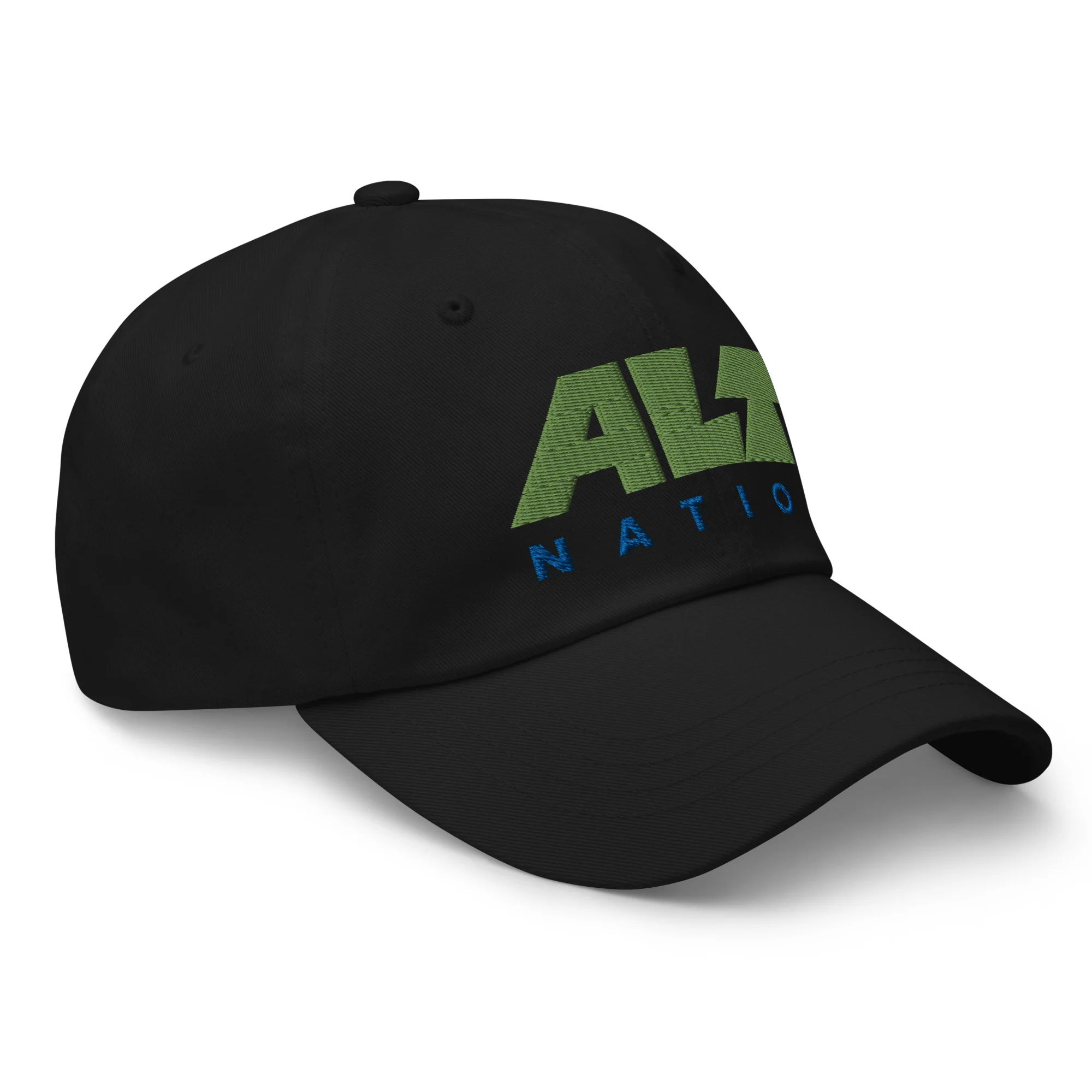 Alt Nation: Dad Hat - Image 2